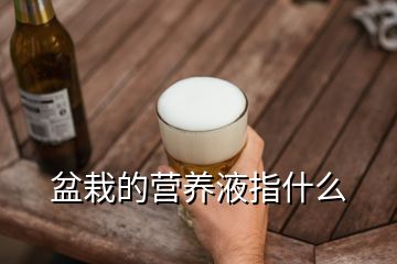 盆栽的營養(yǎng)液指什么