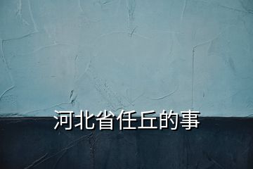 河北省任丘的事