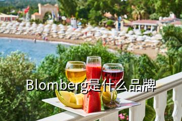 Blomberg是什么品牌