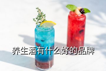 養(yǎng)生酒有什么好的品牌