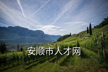 安順市人才網(wǎng)