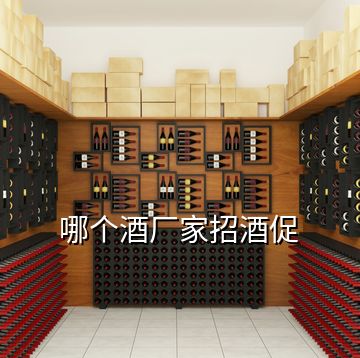 哪個酒廠家招酒促