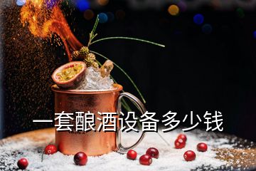 一套釀酒設(shè)備多少錢