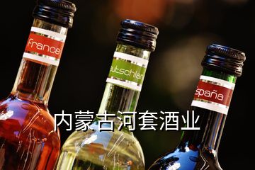 內(nèi)蒙古河套酒業(yè)