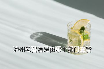 瀘州老窖酒是由哪個(gè)部門主管
