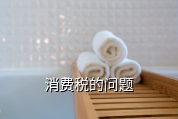 消費(fèi)稅的問(wèn)題