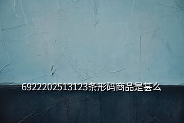 6922202513123條形碼商品是甚么