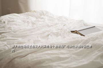 那天我在電視里看見(jiàn)大興采育有個(gè)葡萄酒廠可以在那儲(chǔ)存自己做的