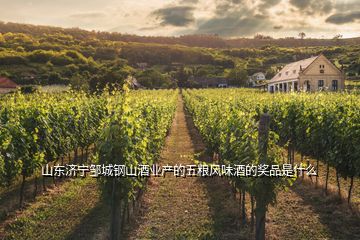山東濟(jì)寧鄒城鋼山酒業(yè)產(chǎn)的五糧風(fēng)味酒的獎(jiǎng)品是什么