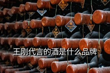 王剛代言的酒是什么品牌