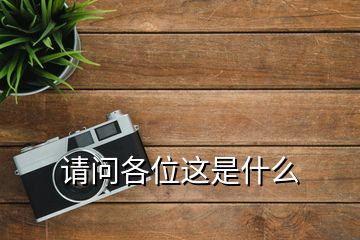 請(qǐng)問(wèn)各位這是什么