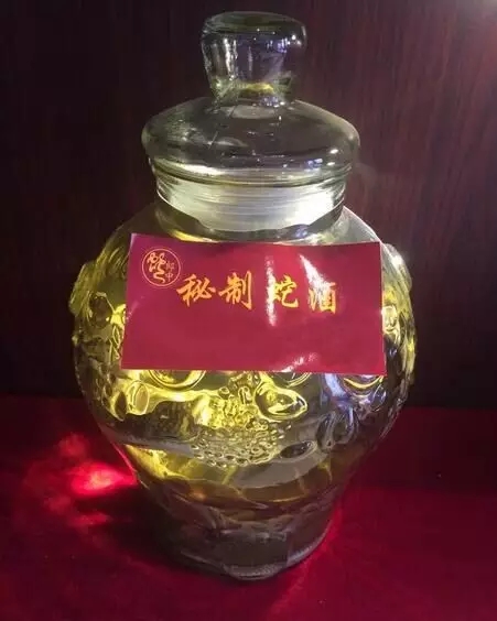 三蛇酒多少錢一瓶，龍山三蛇酒價格表