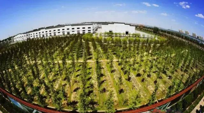 中國巨力集團(tuán)劉伶醉釀酒股份有限公司企業(yè)實(shí)力！