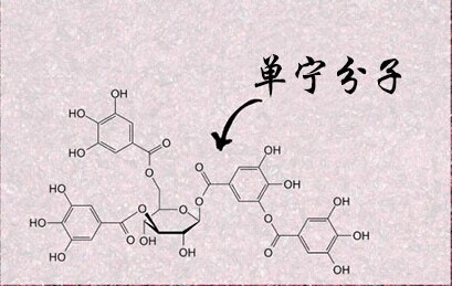 紅酒單寧是什么意思？不同紅酒中的單寧含量是多少？