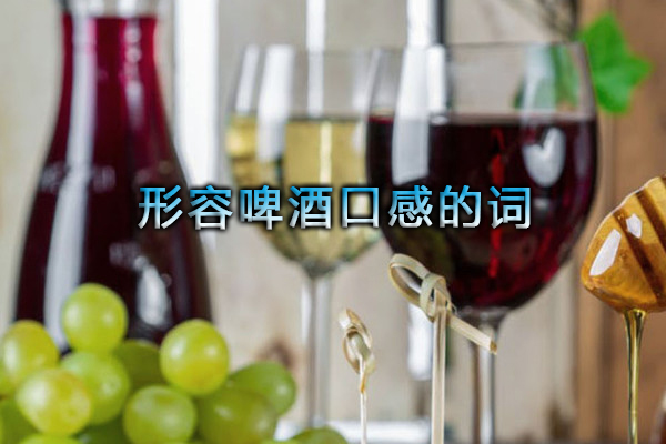 形容啤酒口感的詞