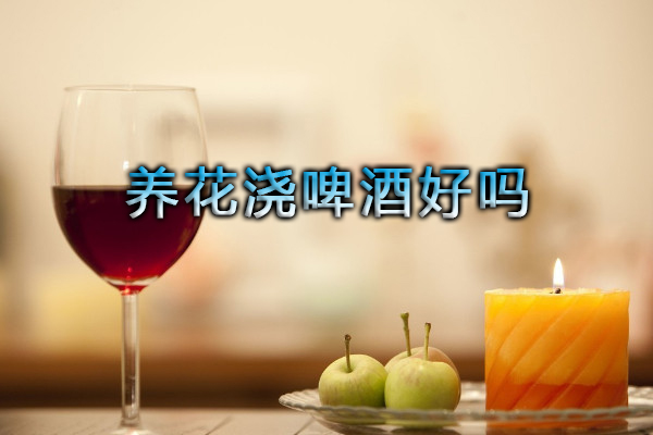 養(yǎng)花澆啤酒好嗎