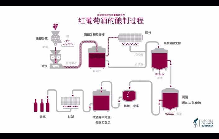 怎樣釀造葡萄酒視頻(葡萄酒怎么釀造視頻)