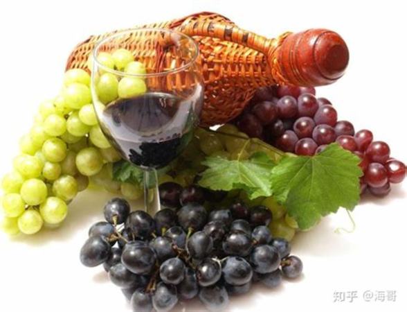 自釀葡萄酒防止變酸,怎么避免葡萄酒變酸