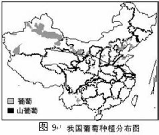 屬于國(guó)家一類保護(hù)動(dòng)物的是,我國(guó)葡萄種植始于哪個(gè)朝代