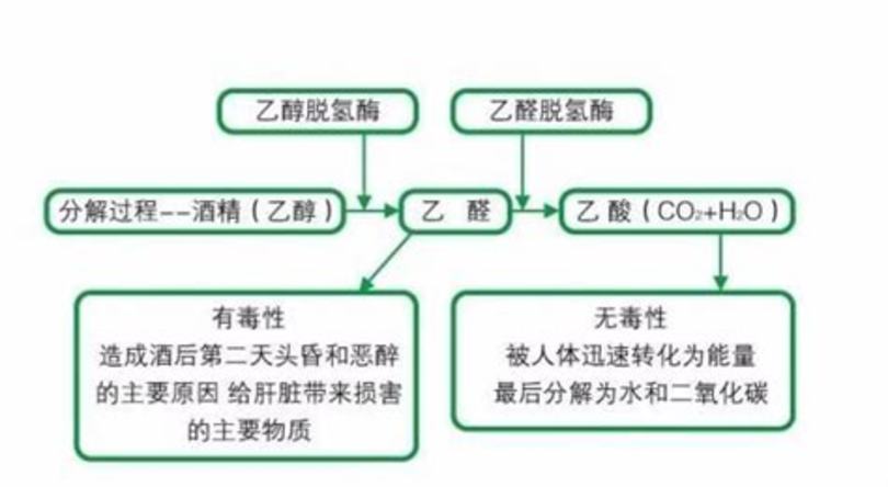 熊膽粉的功效與作用是什么,為什么要醒酒