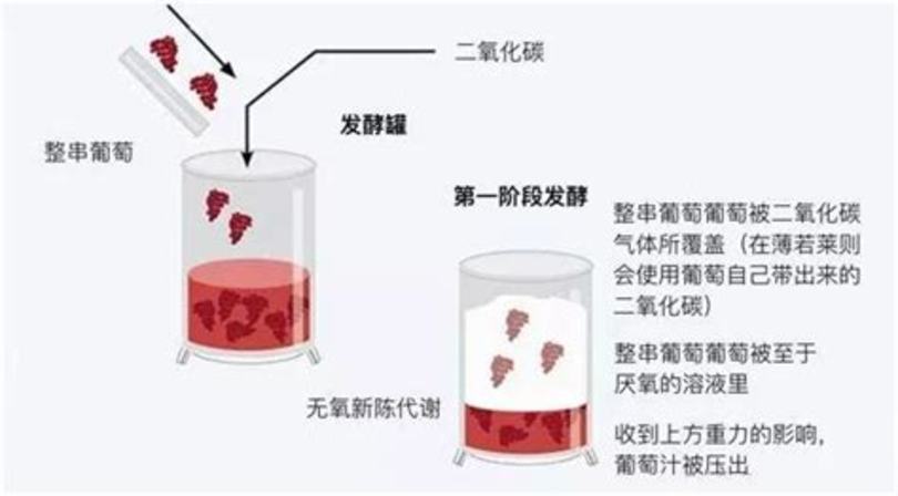 最全面的西班牙葡萄酒產(chǎn)區(qū)介紹,圣萊昂紅葡萄酒什么品種葡萄