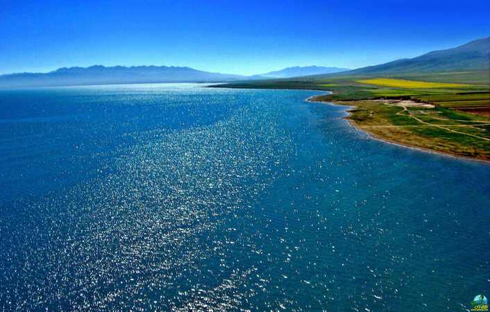 青海湖白酒(青海湖白酒多少錢(qián)一瓶)