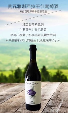 普拉達紅葡萄酒價格多少(普拉達紅葡萄酒多少錢)