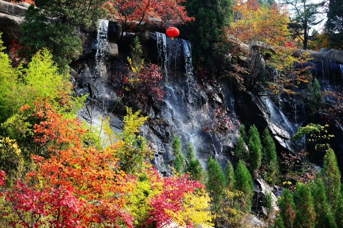 紅葉谷白酒(紅葉谷白酒多少錢一瓶)