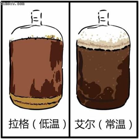 為什么要用玻璃杯喝啤酒,我們?yōu)槭裁春绕【? width=