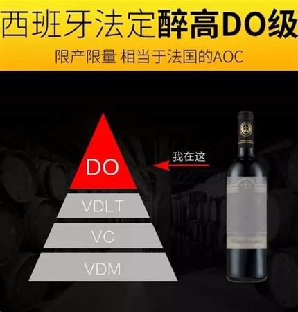 什么是正牌葡萄酒,淺析正牌與副牌葡萄酒