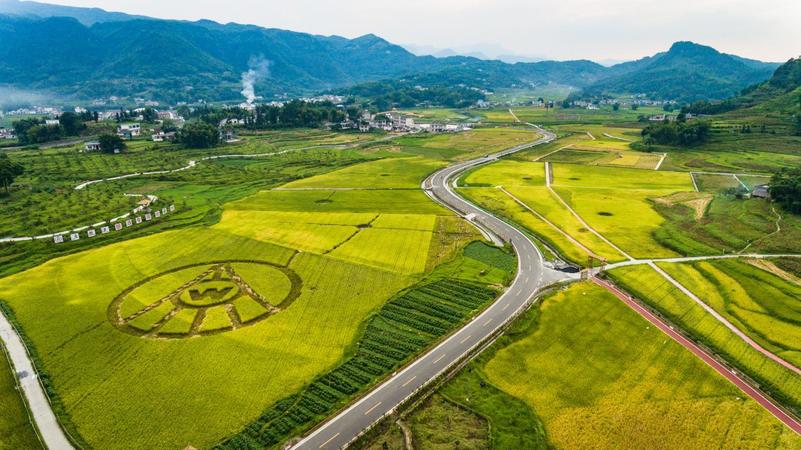 五糧液釀酒糧基地(五糧液釀酒專用糧基地)