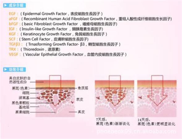 如何開展餐飲終端活動,從云端回歸線下終端