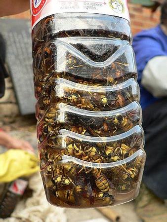 用什么酒泡藥酒,泡藥酒用什么酒好