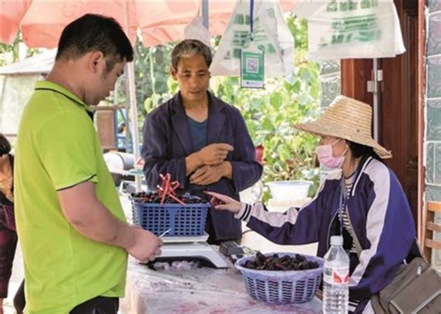 低度酒如何做,什么是低度酒