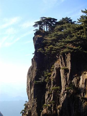 黃山松酒哪個好,石榴酒現(xiàn)在還有嗎