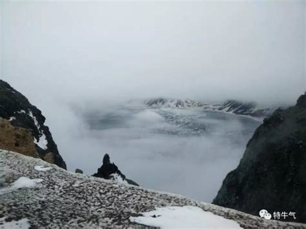 山東秦池還有什么酒,山東為什么沒有名酒