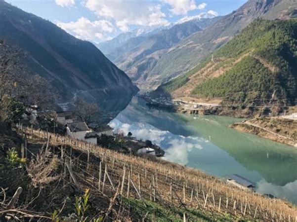 葡萄味葡萄酒是什么味道,自己種植的葡萄著色好