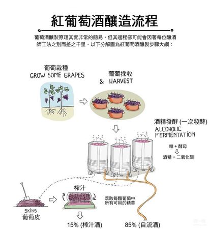 釀造葡萄酒過程詳解(葡萄酒的釀造過程)