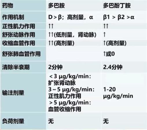 夢(mèng)之藍(lán)m6有多少度的酒,喝過的有何感受