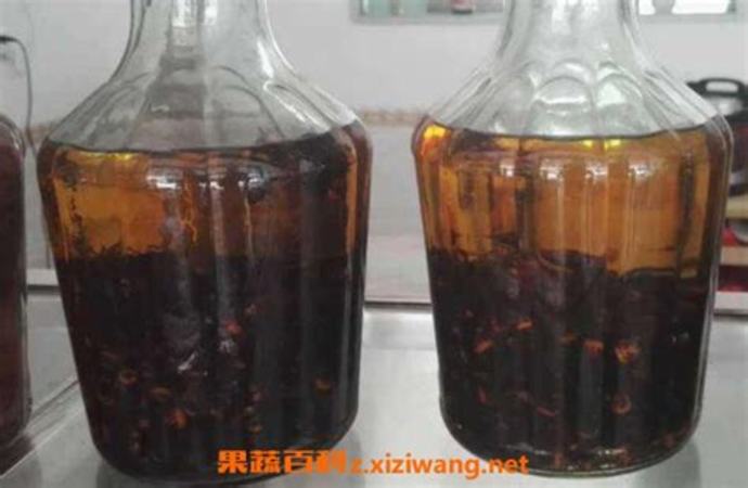 捉什么蜂泡酒,有的人用捉來(lái)的馬蜂泡酒